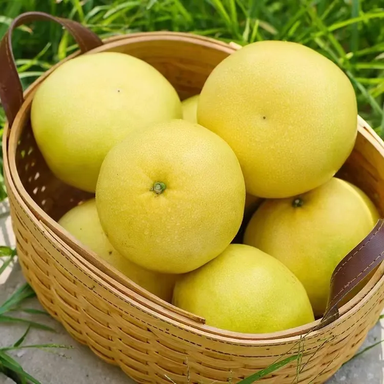 【精品 正宗玉环文旦柚】个大香甜多汁 原产地直发水果 时令水果
