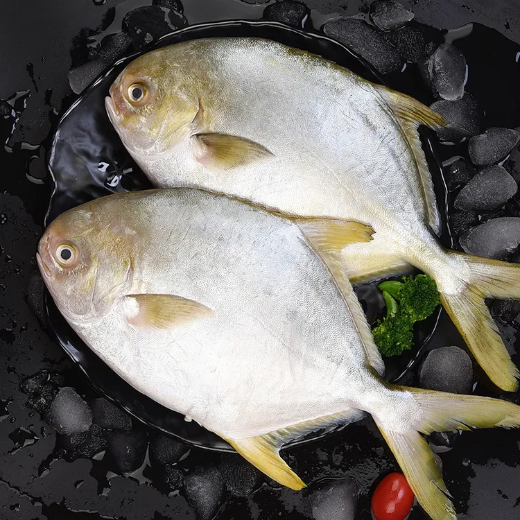 金鲳鱼 450g*4条 到手4条 全疆包邮