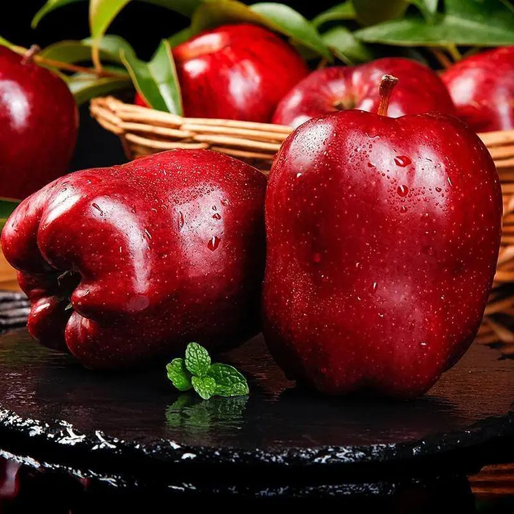 【顺丰包邮天水花牛苹果】农家种植香味沙甜的花牛水分大饱新鲜采摘