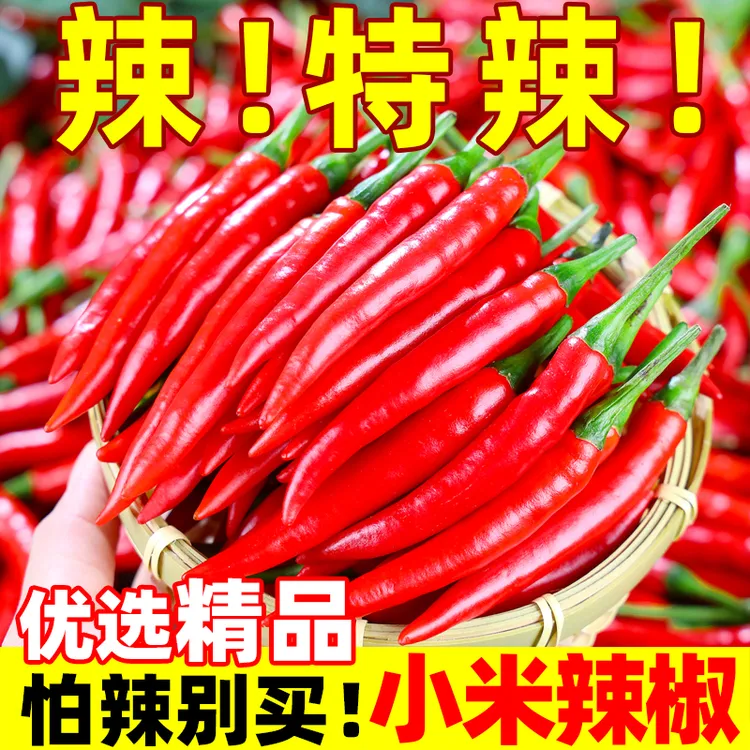 云南特辣小米辣椒新鲜现摘朝天椒辣椒炒菜尖椒批发薄皮辣椒100g起