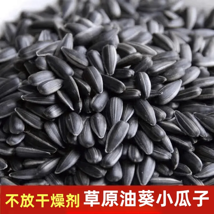 内蒙古黑珍珠小油葵毛嗑葵花籽小瓜子1/2斤原味五香炒货瓜子批发