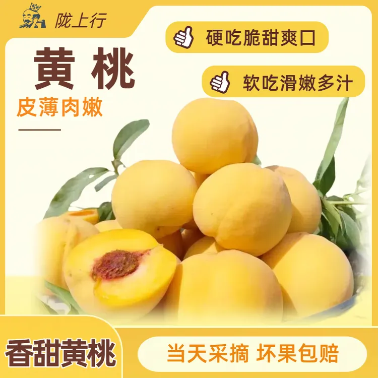 陇上行【常规】新鲜现摘应季 黄桃 硬吃脆甜软吃爆汁口感香甜