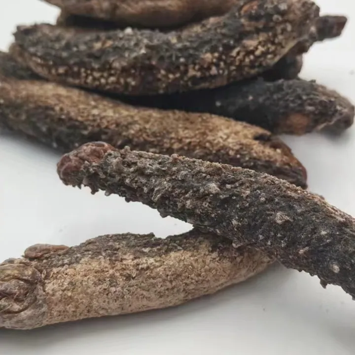 海角色啊拉斯加红刺参（残次）20-40头1斤装营养不变肉厚肥美