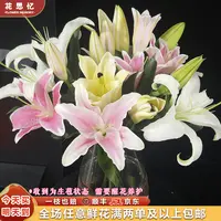 『混搭香水百合6-8朵』不少于2枝 云南鲜切花 满两单鲜花顺丰京东包邮 满三单鲜花送花瓶 直播次日达包邮