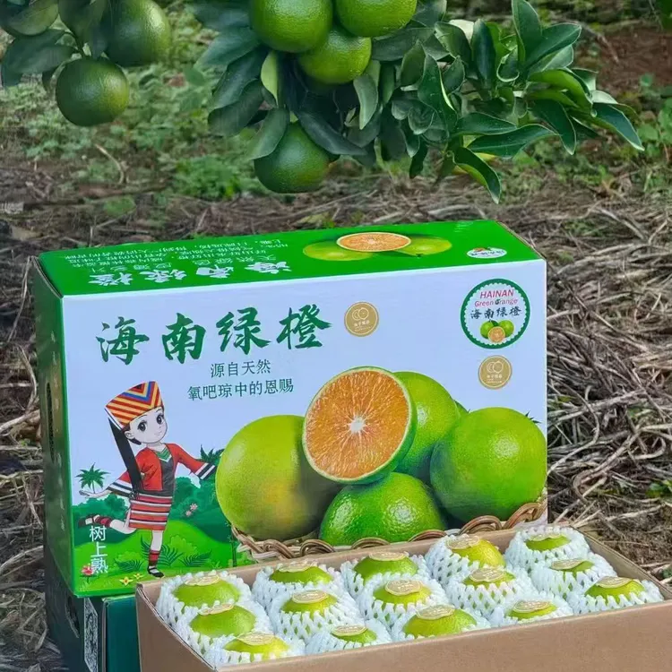 地出臻鲜海南绿橙新鲜青黄皮水果清甜多汁皮薄肉厚产地直发