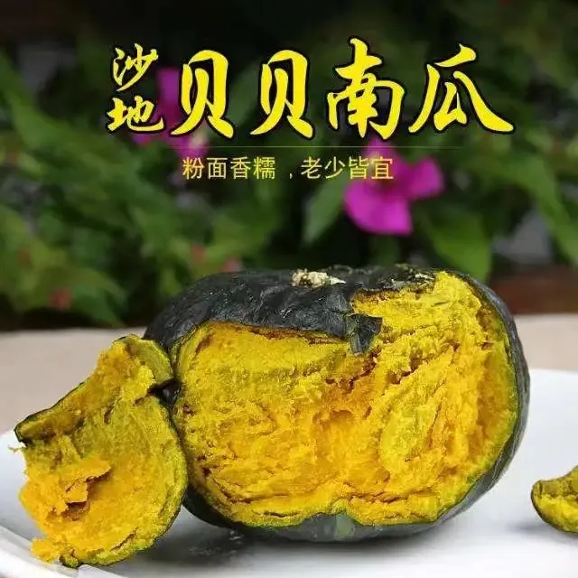 【正宗贝贝南瓜】板栗味孕妇宝宝辅食粉糯香甜健康蔬菜小南瓜4.5斤