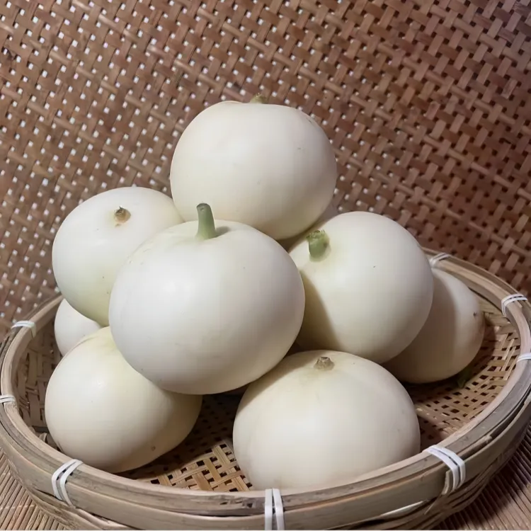 温州灵昆头茬小蜜蜂甜瓜当季新鲜脆甜水果大瓜 4.5斤 顺丰