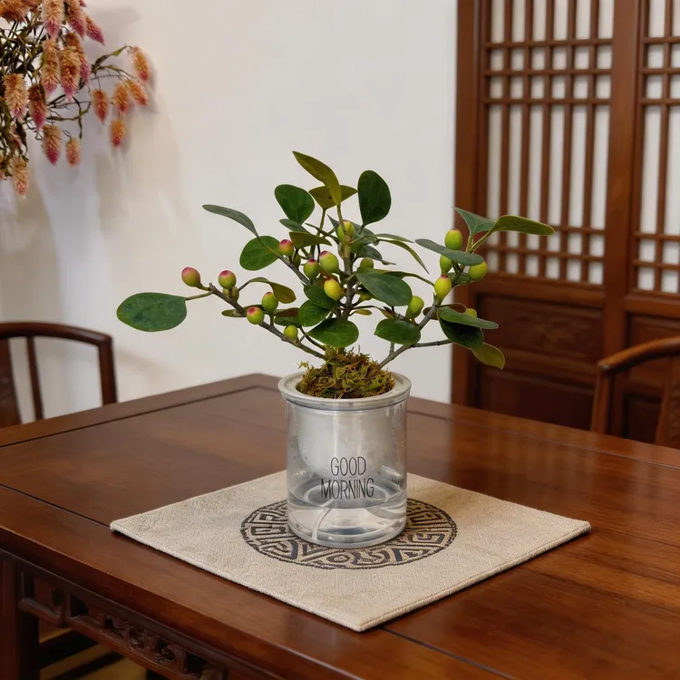 【带多果实 小盼菩提盆栽】精品禅意植物室内绿植客厅摆件好养商品图