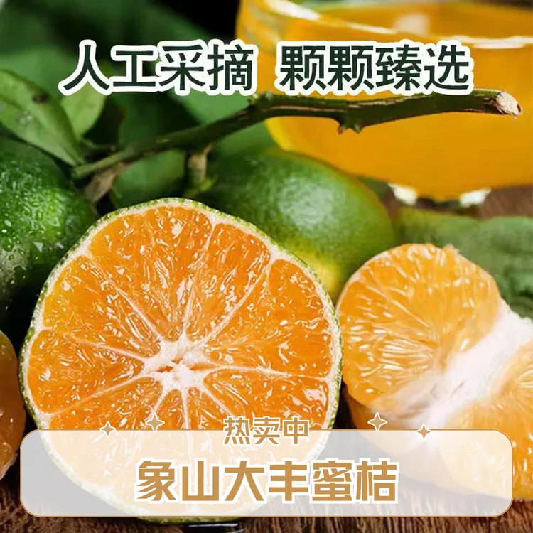 【象山大丰蜜桔】新鲜橘子青皮蜜桔寻乌薄皮多汁酸甜爽口现摘现发