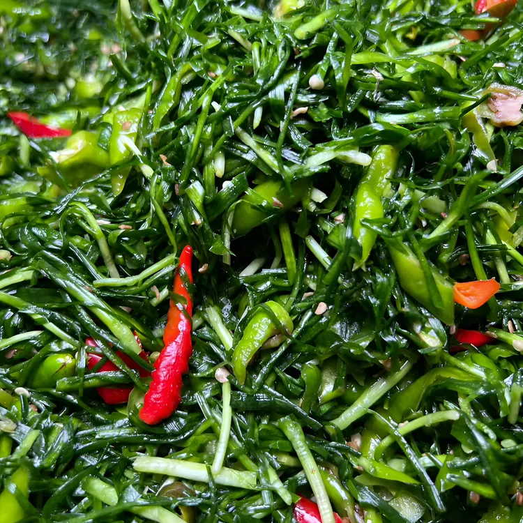 安徽农家辣椒腌韭菜好吃下饭菜咸菜红辣椒