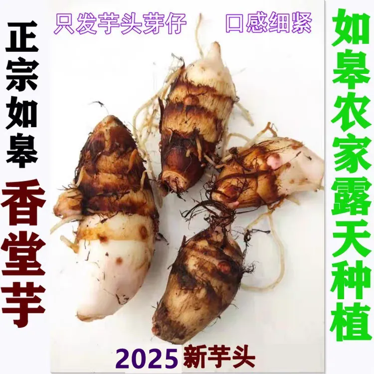 [2025]正如皋香堂芋农家自种粉红芽香沙芋小芋头毛芋头芋艿