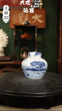 瓷片大观论器茶罐