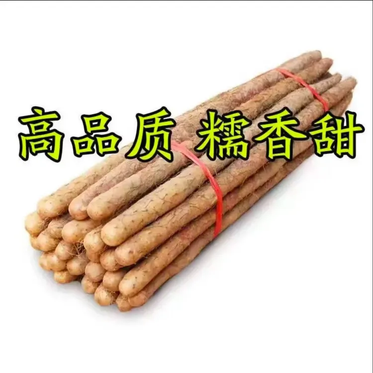 正宗铁棍山药新鲜粉糯香甜营养丰富食补养生佳品农家菜新鲜发货