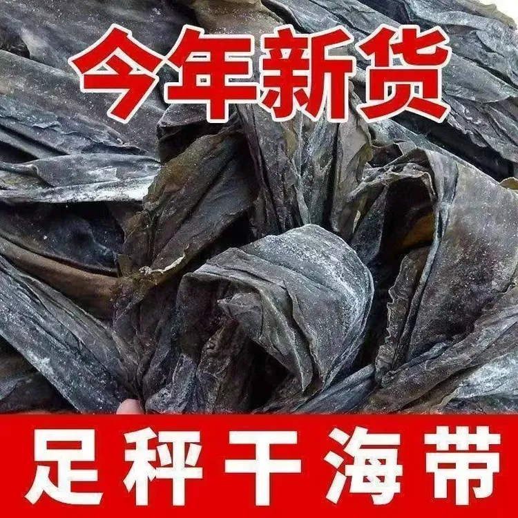 南日海带段45公分干货福建南日优质特厚海带干海带凉拌无沙片日晒