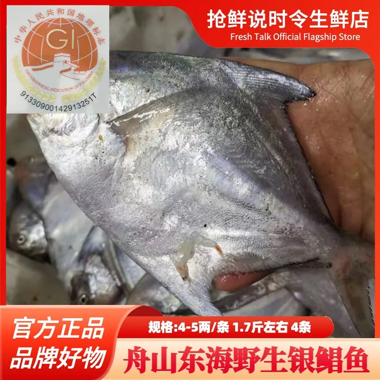 【舟山直发】野生银鲳鱼白鲳独立包装4-5两/条 1.7斤左右 4条