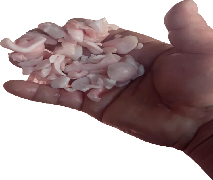 去腥五步蛇眼睛蛇油纯蛇油家用