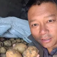 杨教授东北漂亮土豆