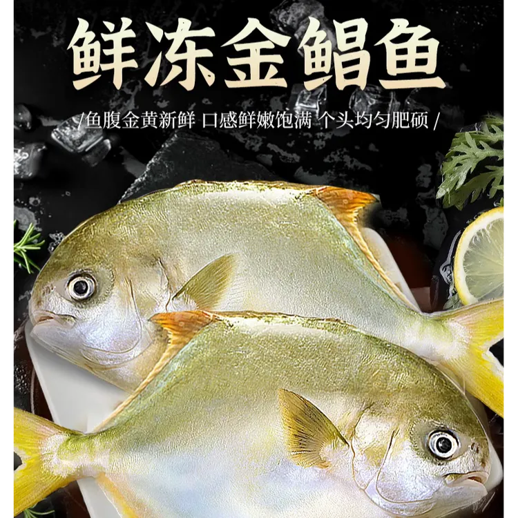 金鲳鱼1斤x4条新鲜镜鱼海鱼鲳鱼金昌鱼白鲳鱼深海