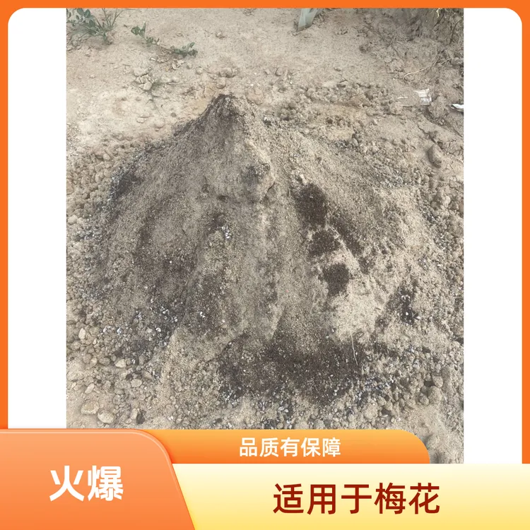 梅花盆景营养土花卉阳台花园种植土疏松透气有机土养花专用土壤