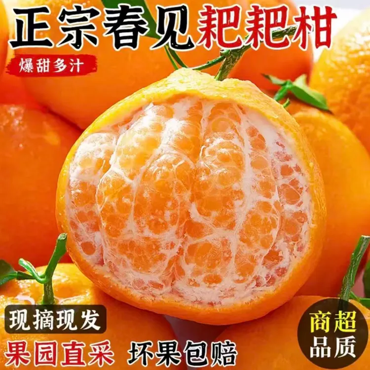 正宗四川春见耙耙柑新鲜应季水果多汁皮薄甘甜可口