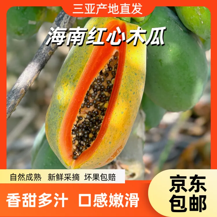 海南红心木瓜软糯香甜三亚自然熟木瓜产地直发红心牛奶木瓜冰糖心
