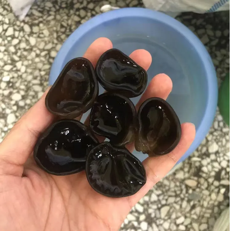 黑龙江特产小碗秋木耳肉厚东北干货产地直发