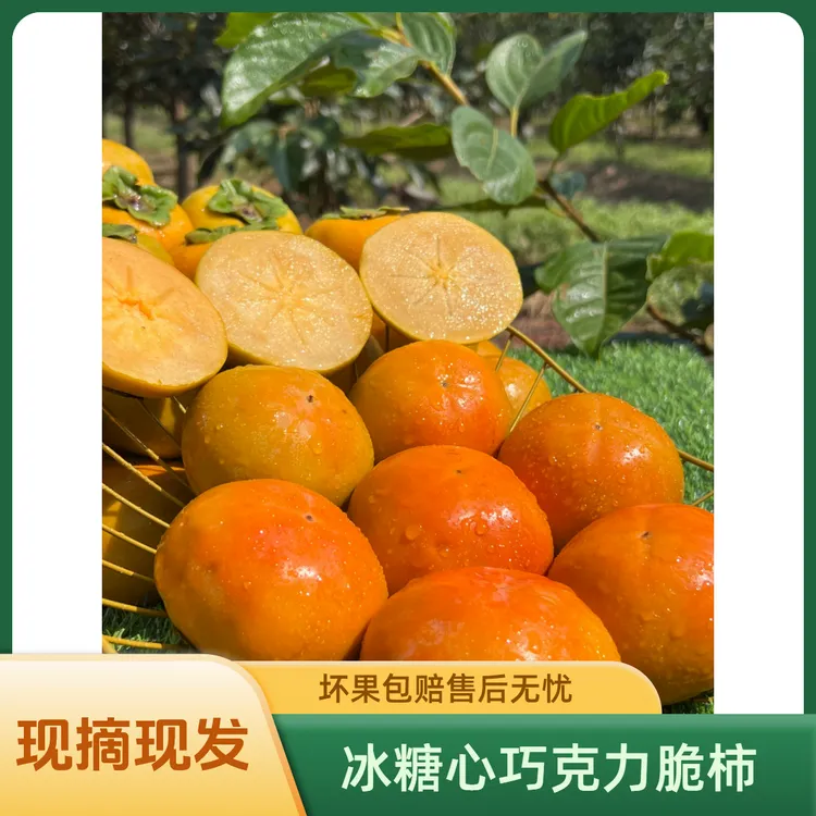 【冰糖心巧克力脆柿】2025年新鲜采摘香甜多汁山西阳丰脆柿果园直发