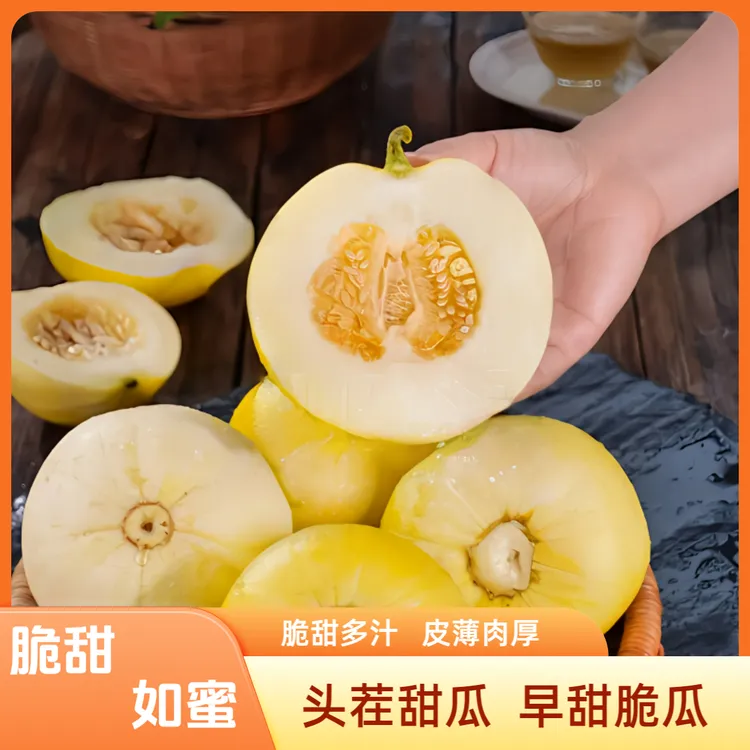 【生鲜直达】山东头茬小蜜蜂甜瓜早甜脆小蜜罐新鲜直供香甜美味果园