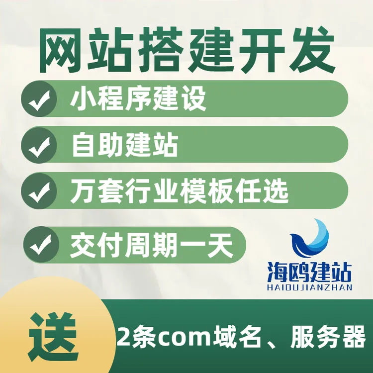 公司网站建设网页设计制作企业公司做外贸网站模板定制开发一条龙