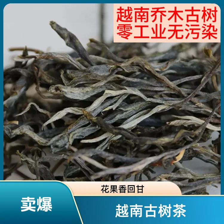 越南古树嗮青茶250克可试喝花果香回甘生津