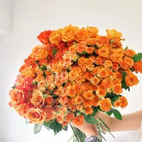 【品牌花】精选橙色系多头玫瑰芬达10枝顺丰包邮家用鲜花