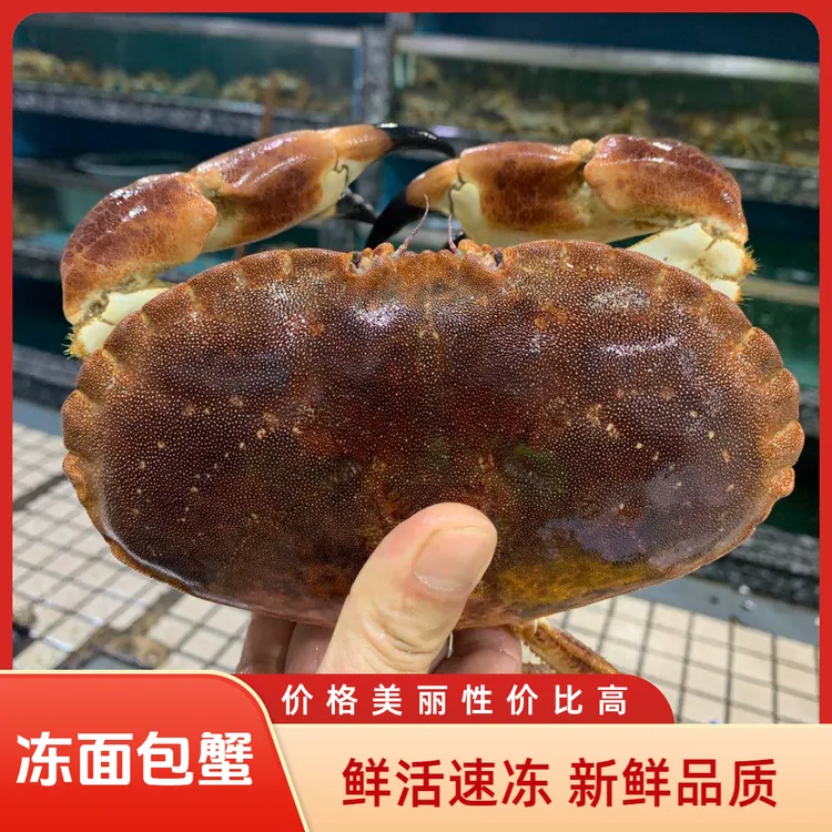 活冻面包蟹海鲜水产品进口鲜活帝王蟹腿肉长脚蟹特大号蟹大螃蟹