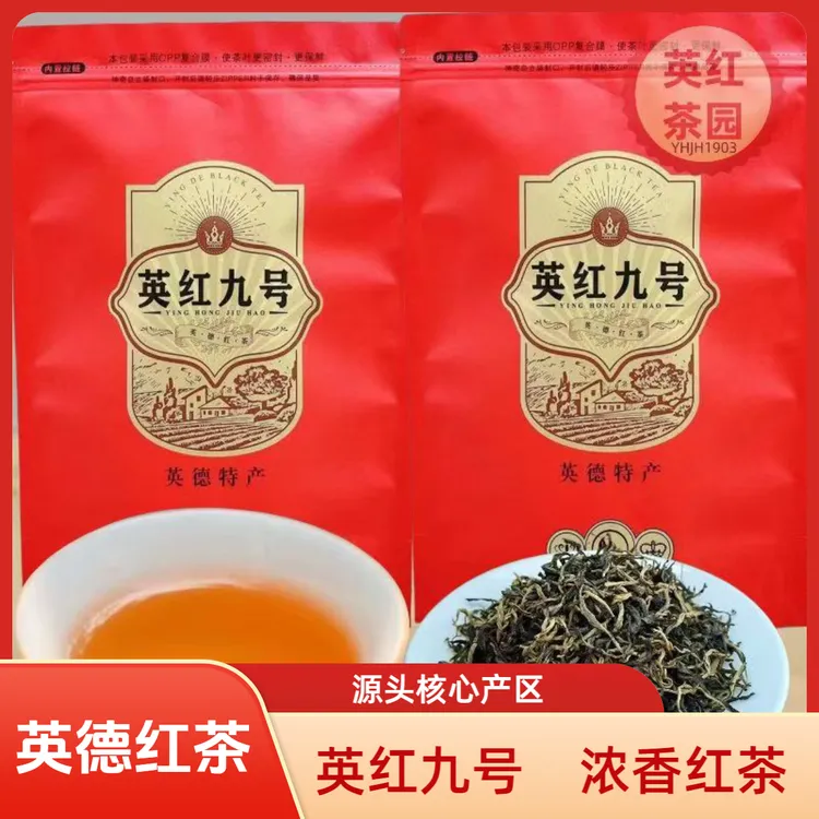 浓香英红九号红茶明前茶中秋推荐好物英德红茶英红九号