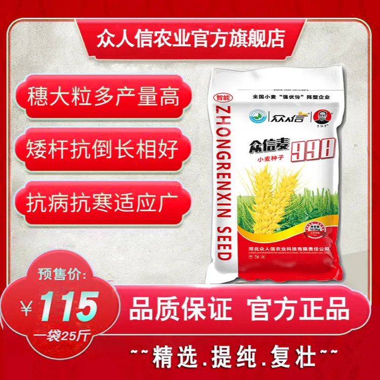 众信麦998，精选提纯复壮、抗倒伏高产小麦品种、十袋（250斤）