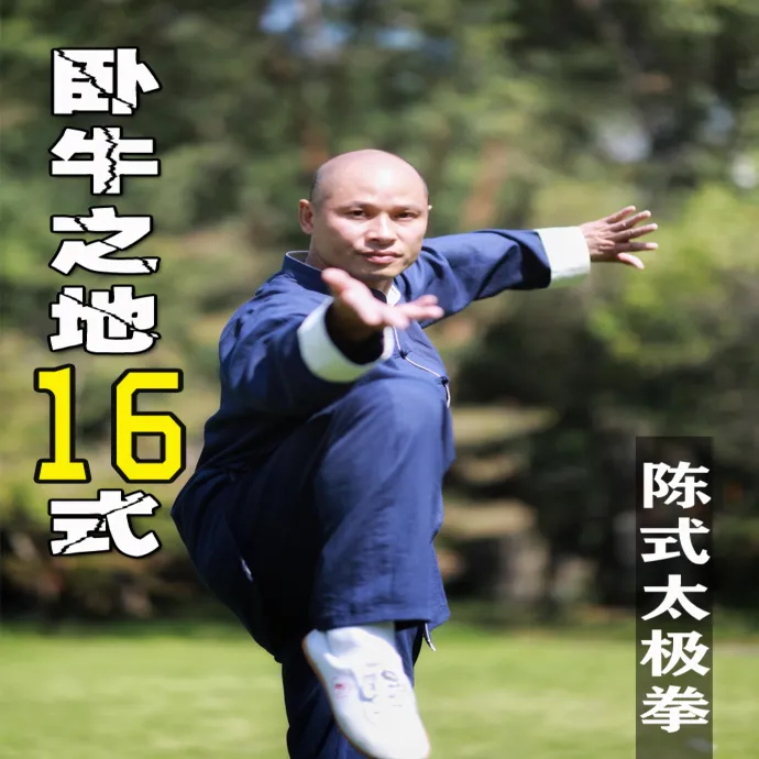 陈式太极拳“卧牛之地”16式 教学（留意短信解锁课程）