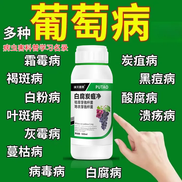 葡萄树葡萄黄叶霜霉病白粉病炭疽病软腐病烂穗烂籽葡萄水溶肥料