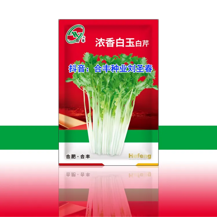 浓香白玉芹菜种子四季种植抗病高产香味浓郁口感脆嫩适宜各地栽培