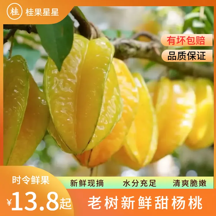 【清爽脆嫩】广西老树甜杨桃 爆汁清甜当季新鲜孕妇水果现摘现发