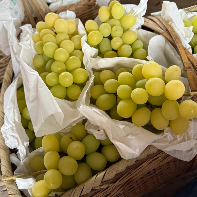 大泽山自然成熟带籽阳光玫瑰现摘现发顺丰包邮