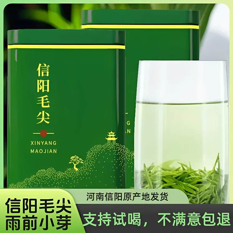 【2025新茶一斤装】毛尖茶叶信阳绿茶高山浓香绿茶散装特一级嫩芽