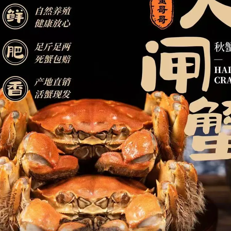 【活蟹】江苏大闸蟹2.3两-2.5两母蟹螃蟹6只鲜活
