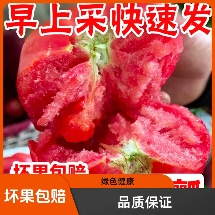 【普罗旺斯西红柿】国家地理标志农产品老幼孕放心吃无农残健康番茄