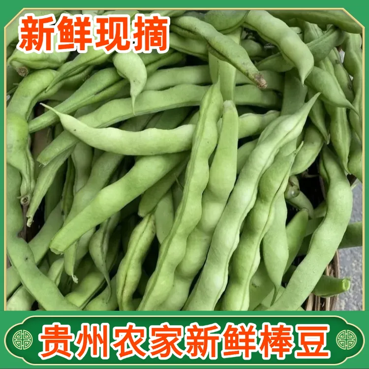 贵州新鲜棒豆农家四季豆芸豆长豆角自种扁豆刀豆现摘蔬菜时令蔬菜
