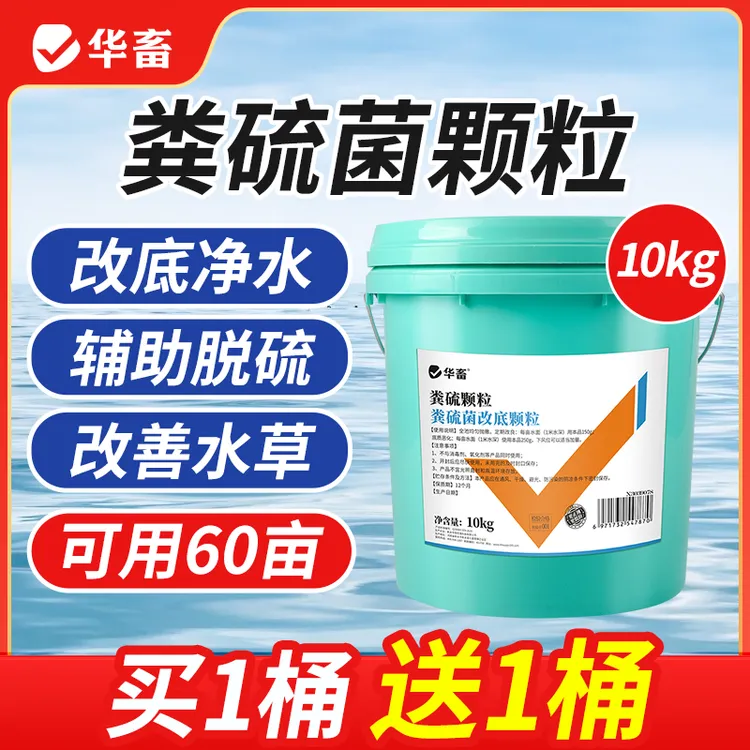 【买一桶送一桶】粪硫菌改底颗粒净化有机质硫化氢改底调水S 商品图