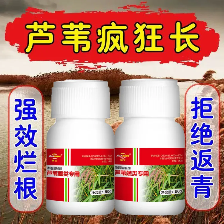 芦苇茅草净强效专用助剂内吸传导双重机理连根根除抗性杂草商品图
