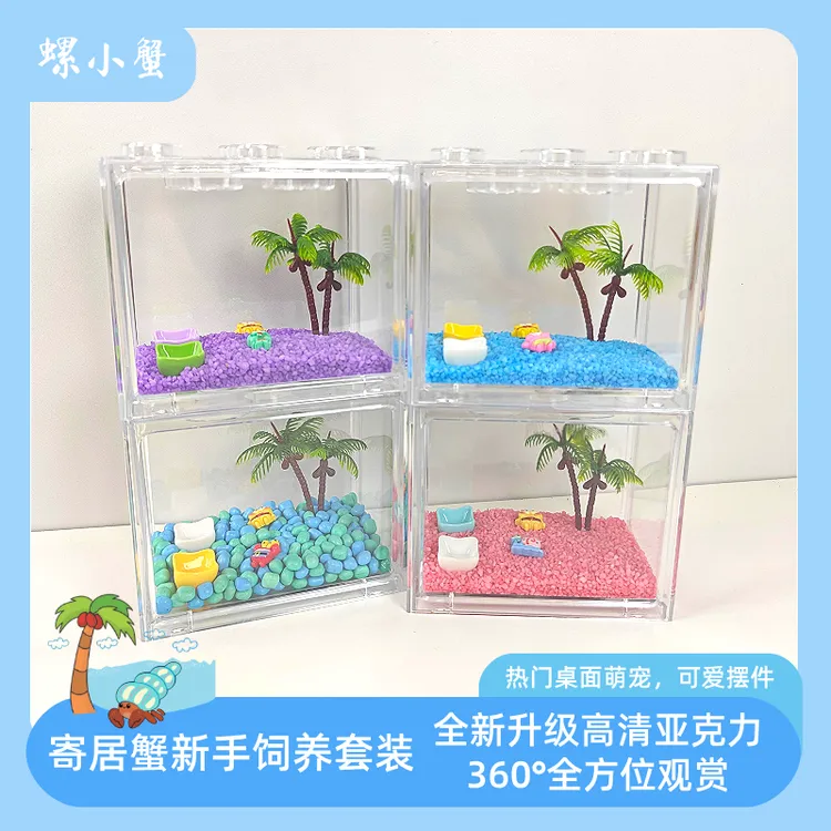 螺小蟹小豆丁寄居蟹饲养套餐  积木盒套装儿童礼物桌面萌宠饲养盒
