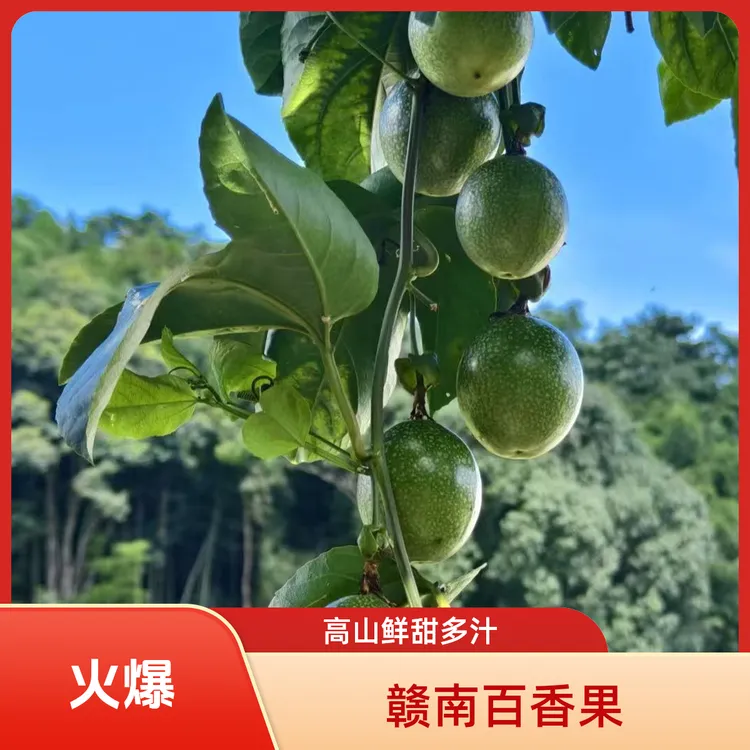 赣南高山钦蜜9号百香果新鲜当季水果香甜多汁VC爆满