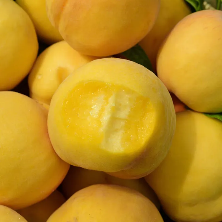 湖北黄金蜜黄桃桃子脆桃软桃毛桃现摘新鲜水果3/5斤