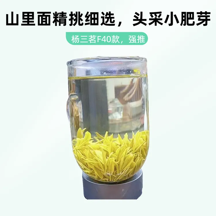 【杨三茗F40款】25年新茶黄金芽回馈老粉小嫩芽肥芽奶香糯香