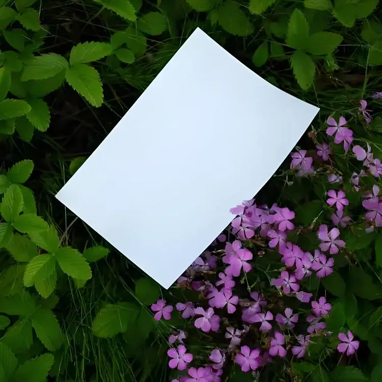 a4打印纸加厚70g75g80g一包100张白纸办公用纸复印纸草稿纸画画纸